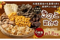 きのこ詰合せ （6種類） セット 【B05201】