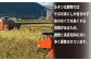 そば茶 300g 国産 北海道愛別町産