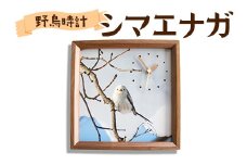 おしゃれ 掛け時計 野鳥時計【シマエナガ】【G13105】