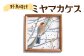 野鳥時計【ミヤマカケス】【G14106】