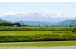 愛別町への寄附50,000円（返礼品はありません）