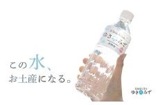 北海道大雪山ゆきのみず（550ml×24本入り）　2箱【 水 ミネラルウォーター 北海道 大雪山 自然水 軟水 クリーンウォーター ミネラル豊富北海道産水 定期便 】