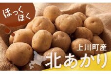 北海道産じゃがいも　北あかり(岸田農園産)【 野菜 じゃがいも 北海道 上川町 岸田農園 サツマイモ 詰合せ 】