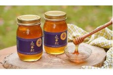 北海道上川町産純粋はちみつ　シナの木（菩提樹）600ｇ×2本セット【 はちみつ シナの木 北海道 上川町 森本金物店 純粋 ハニー 蜂蜜 天然 国産 ギフト プレゼント 料理用 デザート用 健康 美容 自然 甘味料 高品質 上質 】