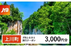 【上川町】JTBふるさと旅行クーポン（Eメール発行）（3,000円分）【 北海道 上川町 上川 トラベル 宿泊 予約 ホテル 旅館 温泉 】