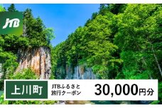【上川町】JTBふるさと旅行クーポン（Eメール発行）（30,000円分）【 北海道 上川町 上川 トラベル 宿泊 予約 ホテル 旅館 温泉 】