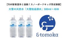 【特定事業応援品】＜大雪旭岳源水＞500mＬ×48本