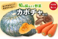 【9月下旬発送】旬の採れたて野菜「カボチャセット」