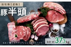 放牧豚”炭豚”豚半頭コース
