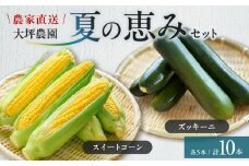 夏の恵みセット　北海道東川町産　スイートコーン＆ズッキーニセット