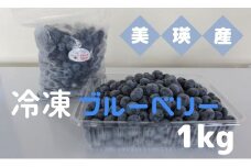 冷凍 ブルーベリー1kg びえいハスカップファーム 美瑛産 | 果物 ブルーベリー フルーツ 小分け 熊本 冷凍 ブルーベリー 大粒 ぶるーべりー 国産[019-66]