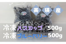 冷凍 ハスカップ 500g・冷凍 ブルーベリー 500g | 美瑛ハスカップファーム 美瑛産 | 果物 ハスカップ フルーツ 小分け 熊本 冷凍 ハスカップ 大粒 はすかっぷ 国産[019-67]