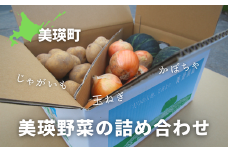 【先行予約】<令和7年産 >美景農園 秋の野菜セット[014-79]