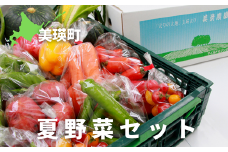 【先行予約】夏野菜セット <令和7年産 >美景農園 [015-103]