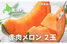 【先行予約】メロン 2玉 <令和7年産 >美景農園 [016-61]