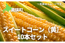 【先行予約】とうもろこし （黄）10本 スイートコーン<令和7年産 >美景農園 [013-65]