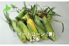 【先行予約】とうもろこし スイートコーン（黄）12本 <令和8年産 >サスケの家 [014-98]
