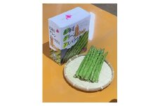 【先行予約】グリーンアスパラ 2kg（S～LMサイズ）<令和7年産 >サスケの家  | グリーン アスパラガス アスパラ あすぱら あすぱらがす 採れたて 新鮮 旬 産地直送 野菜[015-79]