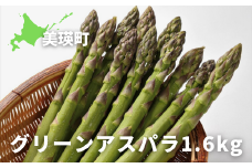 【令和8年産先行予約】グリーンアスパラ 1.6kg(400g×4袋)<令和8年産 > グリーン アスパラガス アスパラ あすぱら あすぱらがす 採れたて 新鮮 旬 産地直送 野菜 大雪山農園 [015-128]
