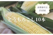 【先行予約】とうもろこし 10本 <令和7年産 >四季彩の丘ＦＡＲＭ [018-35]