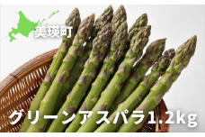 【令和8年産先行予約】グリーンアスパラ 1.2kg(400g×3袋) <令和8年産 > グリーン アスパラガス アスパラ あすぱら あすぱらがす 採れたて 新鮮 旬 産地直送 野菜大雪山農園 [013-89]