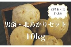 【先行予約】 じゃがいも 10kg  男爵・北あかりセット <令和7年産 >四季彩の丘ＦＡＲＭ男爵 キタアカリ 食べ比べ | 人気 おすすめ ランキング いも 芋 イモ じゃがいも ジャガイモ 野菜[019-55]