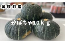美瑛選果　美瑛町産かぼちゃ(緑系)10kg[008-09]