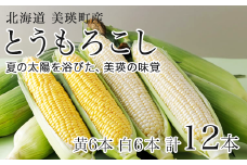 【先行予約】とうもろこし （白・黄）各6本セット スイートコーン<令和7年産 >美瑛選果  |  コーン とうきび 野菜 ベジタブル 産地直送 送料無料 北海道 道産[013-74]