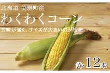 【先行予約】とうもろこし（黄） 12本 <令和7年産 >株式会社 おおとり 美瑛産[014-73]