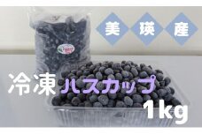 びえいハスカップファーム　美瑛産冷凍ハスカップ1ｋｇ[019-63]
