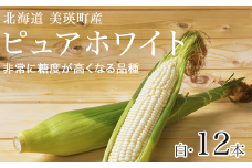 【先行予約】とうもろこし（白）12本 <令和7年産 >株式会社 おおとり 美瑛産[014-74]