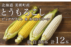 【先行予約】とうもろこし（黄・白）12本 <令和7年産 >株式会社 おおとり 美瑛産[014-75]