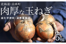 【先行予約】 玉ねぎ 5kg  <令和7年産 > 本山農場 北海道 美瑛 たまねぎ 玉葱 野菜 送料無料 玉ネギ タマネギ オニオン 5kg スライス サラダ ハンバーグ 肉じゃが 味噌汁 焼き肉 バーベキュー BBQ スープ 国産 新鮮 [007-21] 