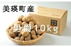 【先行予約】 じゃがいも 10kg 男爵 <令和7年産 > 美瑛選果 美瑛産  | 人気 おすすめ ランキング いも 芋 イモ じゃがいも ジャガイモ 男爵イモ 男爵いも 男爵芋 野菜[012-122]