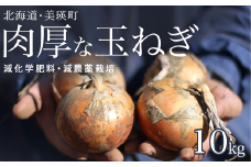 【先行予約】玉ねぎ 10kg <令和7年産 >本山農場  北海道 美瑛 たまねぎ 玉葱 野菜 送料無料 玉ネギ タマネギ オニオン 10kg スライス サラダ ハンバーグ 肉じゃが 味噌汁 焼き肉 バーベキュー BBQ スープ 国産 新鮮 [0105-01] 