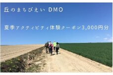 丘のまちびえいDMO 夏季アクティビティ体験クーポン3,000円[010-147]