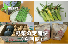 【先行予約】 野菜 定期便 4回便 <令和7年産 >サスケの家グリーンアスパラ2kg（L~2L）、スイートコーン12本（1品種）、秋野菜（じゃがいもきたあかり、かぼちゃ1～2個 約10kg）、米(ななつぼし)10kg[062-01]