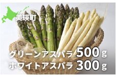 【令和8年産先行予約】グリーンアスパラ 500g & ホワイトアスパラ 300g 美瑛選果  | ホワイト グリーン アスパラガス アスパラ あすぱら あすぱらがす 採れたて 新鮮 旬 産地直送 野菜 食べ比べ[017-65]