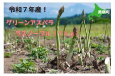 【先行予約】グリーンアスパラ（ラスノーブル）1kg <令和7年産 >おおとり  | グリーン アスパラガス アスパラ あすぱら あすぱらがす 採れたて 新鮮 旬 産地直送 野菜[010-170]