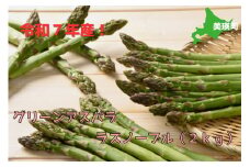 【先行予約】グリーンアスパラ（ラスノーブル）2kg <令和7年産 >おおとり  | グリーン アスパラガス アスパラ あすぱら あすぱらがす 採れたて 新鮮 旬 産地直送 野菜[015-81]