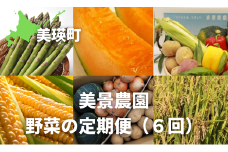 【先行予約】野菜 定期便 6回 <令和7年産 >美景農園 グリーンアスパラ1kg、赤肉メロン2玉、夏野菜セット(7～9品)、スイートコーン6本、秋の味覚セット(じゃがいも3品種、玉ねぎ、人参、坊ちゃん南瓜)、米(新米)5kg[080-28]