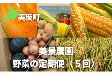 【先行予約】野菜 定期便 5回 <令和7年産 >美景農園 赤肉メロン2個、夏野菜セット(7～9品)、スイートコーン(6本、)秋の味覚6点セット(じゃがいも3品種、玉ねぎ、人参、坊ちゃん南瓜)、米5kg[068-02]