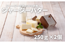 ファームズ千代田　ジャージーバター250ｇ×2個[011-28]