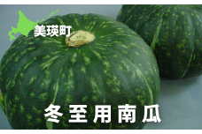 【先行予約】かぼちゃ <令和7年産 >おおとり 冬至用南瓜[013-60]
