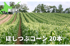 【先行予約】とうもろこし（ほしつぶコーン）20本 <令和7年産 >黒木農場 [021-21]