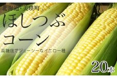 【先行予約】とうもろこし（ほしつぶコーン）20本 <令和8年産 >黒木農場 | とうもろこし 北海道 スイートコーン とうきび 夏野菜 美瑛産 北海道産 北海道産とうもろこし[016-90]