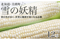【先行予約】とうもろこし（雪の妖精）12本 <令和7年産 >黒木農場 [014-76]