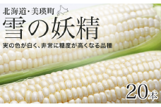 【先行予約】とうもろこし（雪の妖精）20本 <令和7年産 >黒木農場 [021-19]