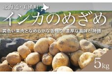 【先行予約】じゃがいも（インカのめざめ）5kg <令和7年産 >黒木農場  | 人気 おすすめ ランキング いも 芋 イモ じゃがいも ジャガイモ インカの目覚め 北海道 野菜[013-62]