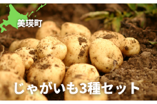 【先行予約】じゃがいも 3種セット 男爵 キタアカリ メークイン <令和7年産 >黒木農場  食べ比べ | 人気 おすすめ ランキング いも 芋 イモ じゃがいも ジャガイモ 野菜[013-63]
